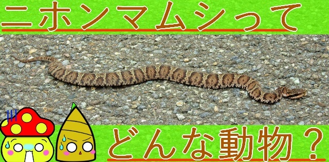 Thumbnail of post image 063